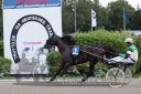 Dateiname=20170806_r07_028_R04_0093.jpg
Dateigröße=118KB
Abmessungen: 750x500
hinzugefügt am: 20. August 2017 20170806_r07_028_R04_0093.jpg