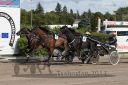 20170806_r10_385_R10_0306.jpg