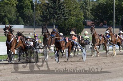 20170806_r11_078_R11_0147.jpg