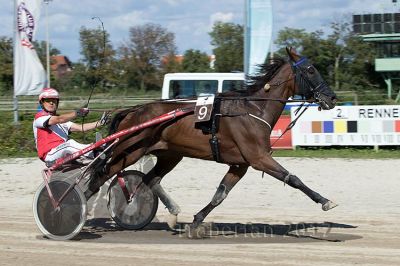 20170813_r02_093_R02_0155.jpg