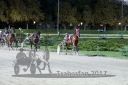 Dateiname=20170813_r12_085_R12_0156.jpg
Dateigröße=110KB
Abmessungen: 750x500
hinzugefügt am: 21. August 2017 20170813_r12_085_R12_0156.jpg