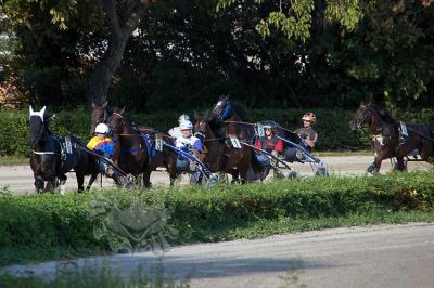 20170813_ja104_016.jpg