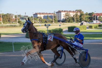 20170813_ja105_006.jpg