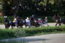 20170813_ja104_016.jpg
