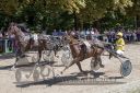 Dateiname=20170815_r02_077_R02_0156.jpg
Dateigröße=149KB
Abmessungen: 750x500
hinzugefügt am: 22. August 2017 20170815_r02_077_R02_0156.jpg