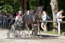 Dateiname=20170815_r05_003_R05_0014.jpg
Dateigröße=150KB
Abmessungen: 750x500
hinzugefügt am: 22. August 2017 20170815_r05_003_R05_0014.jpg