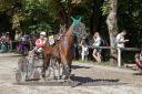 Dateiname=20170815_r05_004_R05_0018.jpg
Dateigröße=128KB
Abmessungen: 750x500
hinzugefügt am: 22. August 2017 20170815_r05_004_R05_0018.jpg