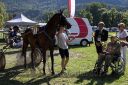 Dateiname=20170815_r05_072_R05_0157.jpg
Dateigröße=167KB
Abmessungen: 750x500
hinzugefügt am: 22. August 2017 20170815_r05_072_R05_0157.jpg