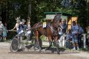 Dateiname=20170815_r05_097_R05_0206.jpg
Dateigröße=143KB
Abmessungen: 750x500
hinzugefügt am: 22. August 2017 20170815_r05_097_R05_0206.jpg