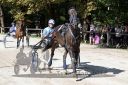 Dateiname=20170815_r06_003_R06_0005.jpg
Dateigröße=149KB
Abmessungen: 750x500
hinzugefügt am: 22. August 2017 20170815_r06_003_R06_0005.jpg
