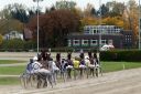 Dateiname=20171001_ja101_030_IMG_0072.jpg
Dateigröße=470KB
Abmessungen: 750x500
hinzugefügt am: 03. Oktober 2017 20171001_ja101_030_IMG_0072.jpg