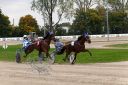 Dateiname=20171001_ja102_028_IMG_0080.jpg
Dateigröße=481KB
Abmessungen: 750x500
hinzugefügt am: 03. Oktober 2017 20171001_ja102_028_IMG_0080.jpg