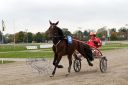 Dateiname=20171001_ja102_062_IMG_0204.jpg
Dateigröße=349KB
Abmessungen: 750x500
hinzugefügt am: 03. Oktober 2017 20171001_ja102_062_IMG_0204.jpg