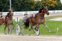 Dateiname=20171001_ja103_020_IMG_0070.jpg
Dateigröße=447KB
Abmessungen: 750x500
hinzugefügt am: 03. Oktober 2017 20171001_ja103_020_IMG_0070.jpg