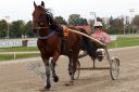 Dateiname=20171001_ja104_016_IMG_0051.jpg
Dateigröße=375KB
Abmessungen: 750x500
hinzugefügt am: 03. Oktober 2017 20171001_ja104_016_IMG_0051.jpg