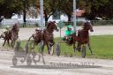 Dateiname=20171001_pqw_022_QU1_0039.jpg
Dateigröße=441KB
Abmessungen: 750x500
hinzugefügt am: 02. Oktober 2017 20171001_pqw_022_QU1_0039.jpg