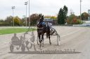 Dateiname=20171001_r04_111_R04_0023.jpg
Dateigröße=428KB
Abmessungen: 750x500
hinzugefügt am: 03. Oktober 2017 20171001_r04_111_R04_0023.jpg