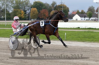 20171001_r10_054_R10_0134.jpg