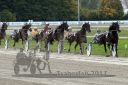 Dateiname=20171001_r10_072_R10_0173.jpg
Dateigröße=394KB
Abmessungen: 750x500
hinzugefügt am: 03. Oktober 2017 20171001_r10_072_R10_0173.jpg