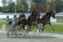 Dateiname=20171001_r12_061_R12_0128.jpg
Dateigröße=378KB
Abmessungen: 750x500
hinzugefügt am: 03. Oktober 2017 20171001_r12_061_R12_0128.jpg