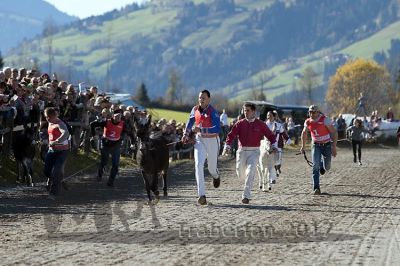 20171026_esel_047_R08_0032.jpg