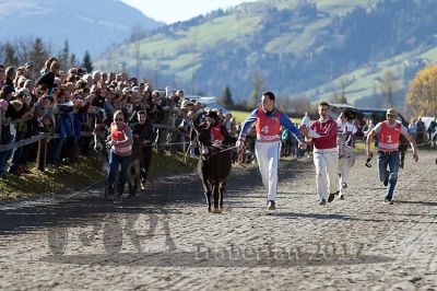 20171026_esel_048_R08_0034.jpg