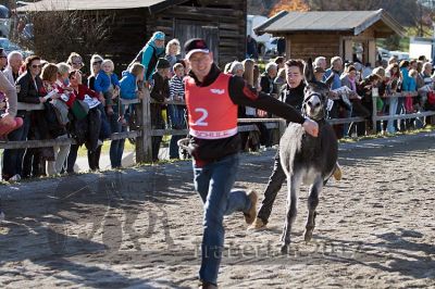 20171026_esel_068_R08_0074.jpg