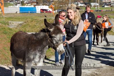 20171026_esel_083_R08_0080.jpg