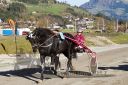 Dateiname=20171026_r08_009_R08_0028.jpg
Dateigröße=142KB
Abmessungen: 750x500
hinzugefügt am: 28. Oktober 2017 20171026_r08_009_R08_0028.jpg