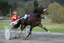 Dateiname=20171026_ja_t1_025_IMG_0054.jpg
Dateigröße=104KB
Abmessungen: 750x500
hinzugefügt am: 27. Oktober 2017 20171026_ja_t1_025_IMG_0054.jpg