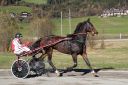 Dateiname=20171026_ja_t4_024_IMG_0064.jpg
Dateigröße=122KB
Abmessungen: 750x500
hinzugefügt am: 27. Oktober 2017 20171026_ja_t4_024_IMG_0064.jpg