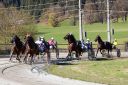 Dateiname=20171026_ja_t4_036_IMG_0096.jpg
Dateigröße=159KB
Abmessungen: 750x500
hinzugefügt am: 27. Oktober 2017 20171026_ja_t4_036_IMG_0096.jpg