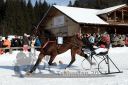 Dateiname=20171226_r01_012_R01_0043.jpg
Dateigröße=116KB
Abmessungen: 750x500
hinzugefügt am: 27. Dezember 2017 20171226_r01_012_R01_0043.jpg