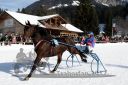 Dateiname=20171226_r01_018_R01_0053.jpg
Dateigröße=122KB
Abmessungen: 750x500
hinzugefügt am: 27. Dezember 2017 20171226_r01_018_R01_0053.jpg