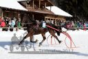 Dateiname=20171226_r01_023_R01_0063.jpg
Dateigröße=123KB
Abmessungen: 750x500
hinzugefügt am: 27. Dezember 2017 20171226_r01_023_R01_0063.jpg