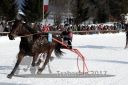 Dateiname=20171226_r01_058_R01_0127.jpg
Dateigröße=126KB
Abmessungen: 750x500
hinzugefügt am: 27. Dezember 2017 20171226_r01_058_R01_0127.jpg