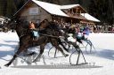 Dateiname=20171226_r01_084_R01_0158.jpg
Dateigröße=129KB
Abmessungen: 750x500
hinzugefügt am: 27. Dezember 2017 20171226_r01_084_R01_0158.jpg