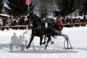 Dateiname=20171226_r03_008_R03_0022.jpg
Dateigröße=121KB
Abmessungen: 750x500
hinzugefügt am: 27. Dezember 2017 20171226_r03_008_R03_0022.jpg