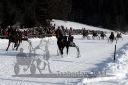 Dateiname=20171226_r03_074_R03_0136.jpg
Dateigröße=128KB
Abmessungen: 750x500
hinzugefügt am: 27. Dezember 2017 20171226_r03_074_R03_0136.jpg