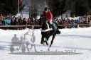 Dateiname=20171226_r04_028_R04_0046.jpg
Dateigröße=111KB
Abmessungen: 750x500
hinzugefügt am: 27. Dezember 2017 20171226_r04_028_R04_0046.jpg