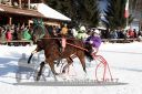 Dateiname=20171226_r05_015_R05_0044.jpg
Dateigröße=132KB
Abmessungen: 750x500
hinzugefügt am: 27. Dezember 2017 20171226_r05_015_R05_0044.jpg