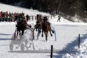 Dateiname=20171226_r05_065_R05_0132.jpg
Dateigröße=132KB
Abmessungen: 750x500
hinzugefügt am: 27. Dezember 2017 20171226_r05_065_R05_0132.jpg