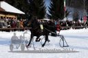 Dateiname=20171226_r06_013_R06_0036.jpg
Dateigröße=110KB
Abmessungen: 750x500
hinzugefügt am: 27. Dezember 2017 20171226_r06_013_R06_0036.jpg