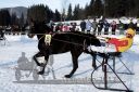Dateiname=20171226_r06_024_R06_0060.jpg
Dateigröße=126KB
Abmessungen: 750x500
hinzugefügt am: 27. Dezember 2017 20171226_r06_024_R06_0060.jpg