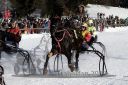 Dateiname=20171226_r06_048_R06_0111.jpg
Dateigröße=141KB
Abmessungen: 750x500
hinzugefügt am: 27. Dezember 2017 20171226_r06_048_R06_0111.jpg