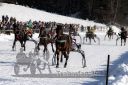 Dateiname=20171226_r06_084_R06_0172.jpg
Dateigröße=144KB
Abmessungen: 750x500
hinzugefügt am: 27. Dezember 2017 20171226_r06_084_R06_0172.jpg