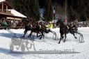 Dateiname=20171226_r06_098_R06_0194.jpg
Dateigröße=147KB
Abmessungen: 750x500
hinzugefügt am: 27. Dezember 2017 20171226_r06_098_R06_0194.jpg