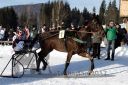 Dateiname=20171226_r06_120_R06_0232.jpg
Dateigröße=127KB
Abmessungen: 750x500
hinzugefügt am: 27. Dezember 2017 20171226_r06_120_R06_0232.jpg