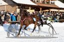 Dateiname=20171226_r08_028_R08_0059.jpg
Dateigröße=141KB
Abmessungen: 750x500
hinzugefügt am: 27. Dezember 2017 20171226_r08_028_R08_0059.jpg