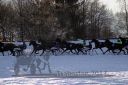 Dateiname=20171226_r08_048_R08_0108.jpg
Dateigröße=145KB
Abmessungen: 750x500
hinzugefügt am: 27. Dezember 2017 20171226_r08_048_R08_0108.jpg